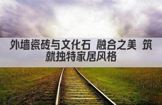 外墙瓷砖与文化石 融合之美 筑就独特家居风格