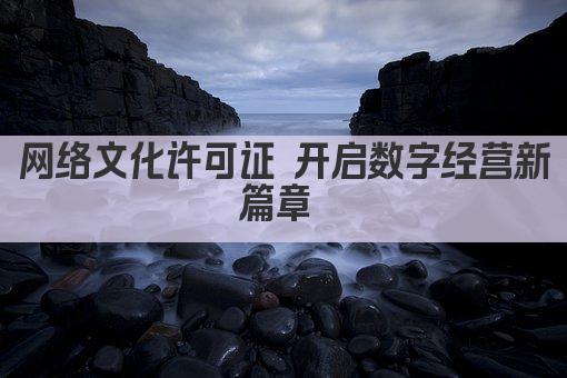 网络文化许可证 开启数字经营新篇章 
