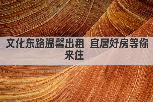 文化东路温馨出租 宜居好房等你来住 