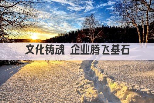 文化铸魂 企业腾飞之道