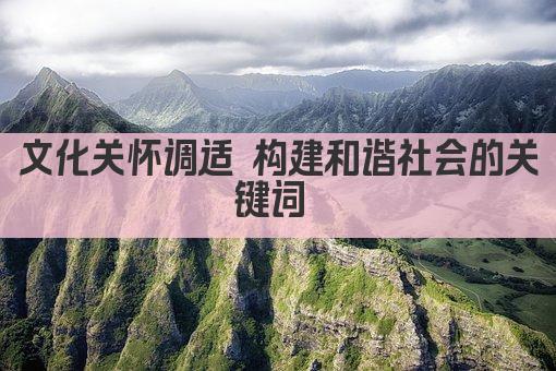 文化关怀调适 构建和谐社会的关键词 