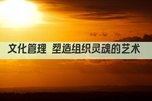 文化管理 塑造组织灵魂的艺术 