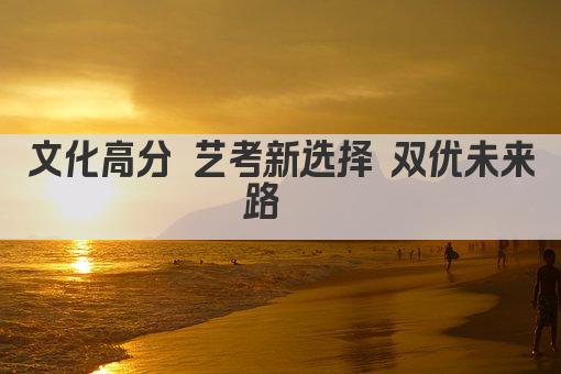 文化高分 艺考新选择 双优未来路  