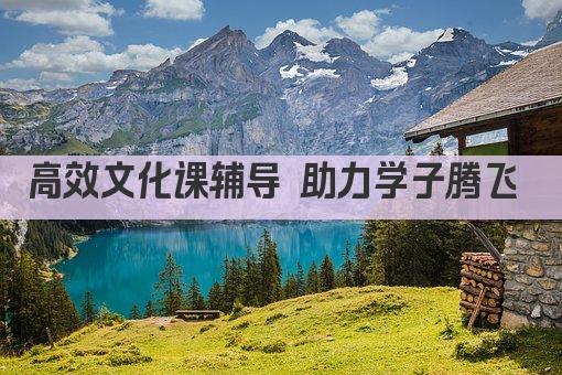 高效文化课辅导 助力学子腾飞 