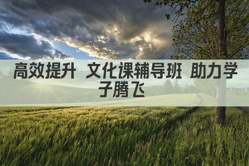 高效提升 文化课辅导班 助力学子腾飞 