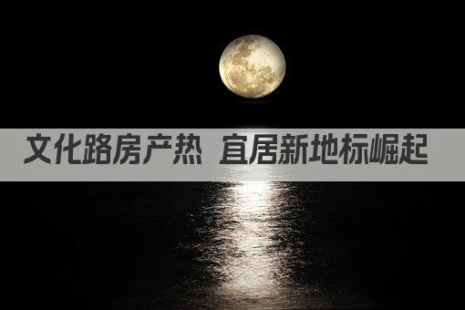 文化路房产热 宜居新地标崛起 