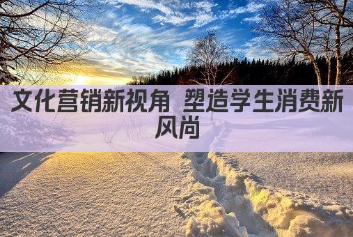 文化营销新视角 塑造学生消费新风尚