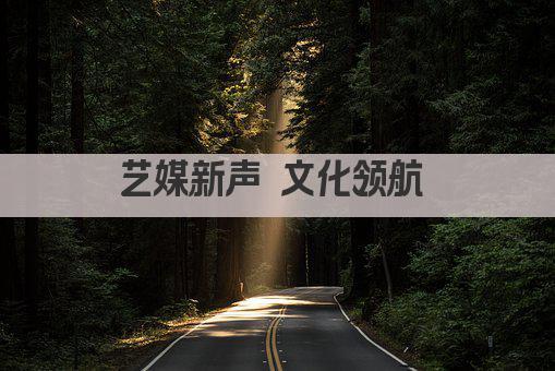 艺媒新声 文化领航 