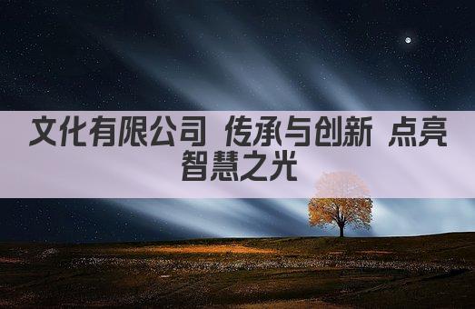 文化有限公司 传承与创新 点亮智慧之光