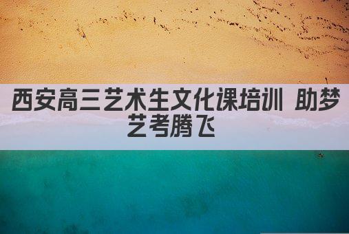 西安高三艺术生文化课培训 助梦艺考腾飞 