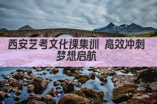 西安艺考文化课集训 高效冲刺 梦想启航 