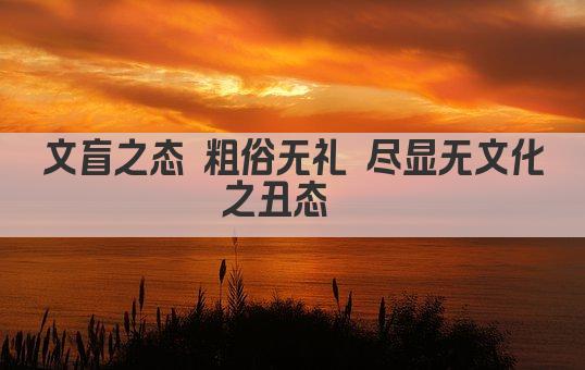 文盲之态 粗俗无礼 尽显无文化之丑态  