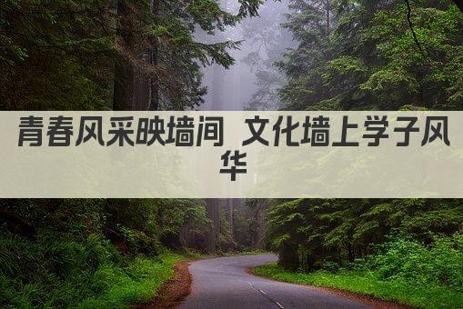 青春风采映墙间 文化墙上学子风华