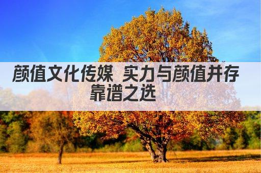 颜值文化传媒 实力与颜值并存 靠谱之选  