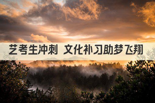 艺考生冲刺 文化补习助梦飞翔 