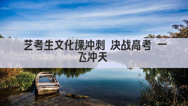 艺考生文化课冲刺 决战高考 一飞冲天 