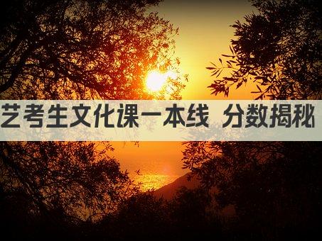 艺考生文化课达标一本 分数揭秘  