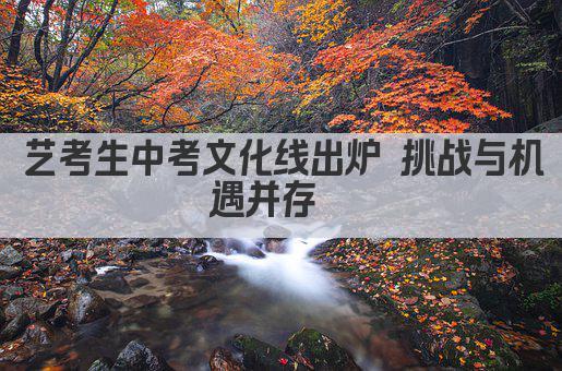 艺考生中考文化线出炉 挑战与机遇并存  