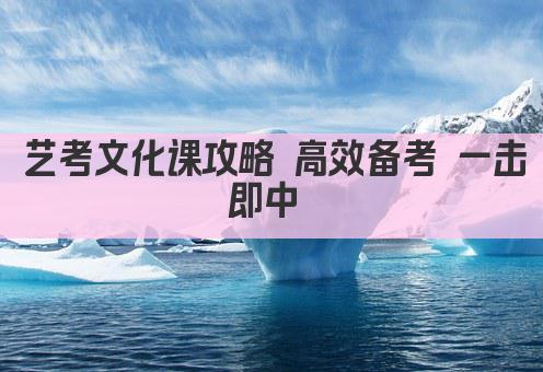 艺考文化课攻略 高效备考 一击即中 