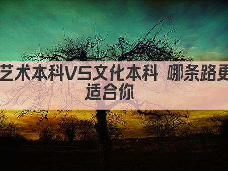 艺术本科VS文化本科 哪条路更适合你 