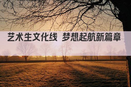 艺术生文化线 梦想起航新篇章  