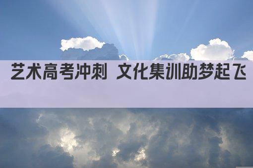 艺术高考冲刺 文化集训助梦起飞 
