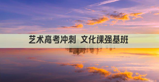 艺术高考冲刺 文化课强基班 