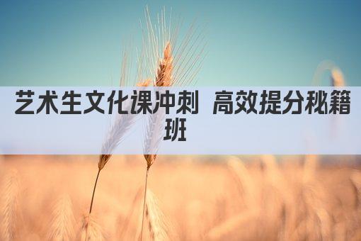 艺术生文化课冲刺 高效提分秘籍班 