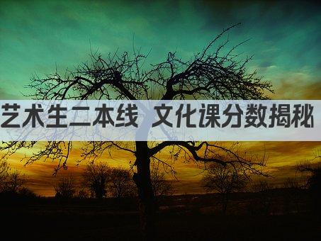 艺术生二本线 文化课分数揭秘 
