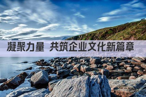 凝聚力量 共筑企业文化新篇章 