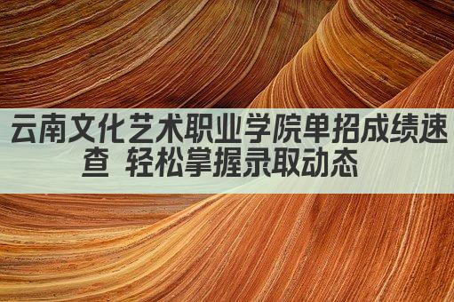 云南文化艺术职业学院单招成绩速查 轻松掌握录取动态 