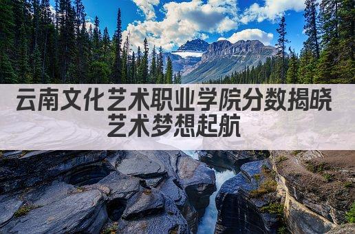 云南文化艺术职业学院分数揭晓 艺术梦想起航 