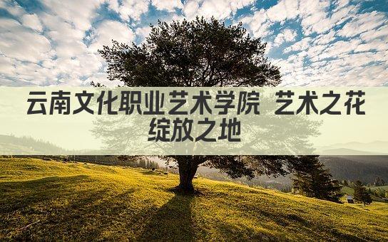 云南文化职业艺术学院 艺术之花绽放之地
