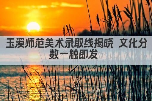 玉溪师范美术录取线揭晓 文化分数一触即发 