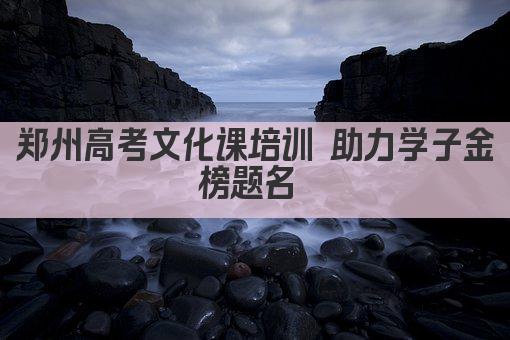 郑州高考文化课培训 助力学子金榜题名 