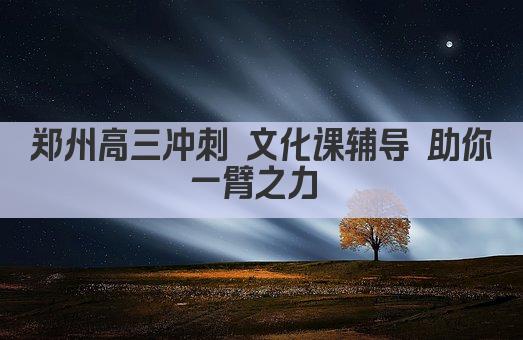 郑州高三冲刺 文化课辅导 助你一臂之力 