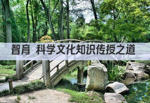 智育 科学文化知识传授之道 