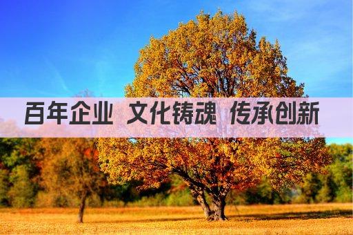 百年企业 文化铸魂 传承创新 