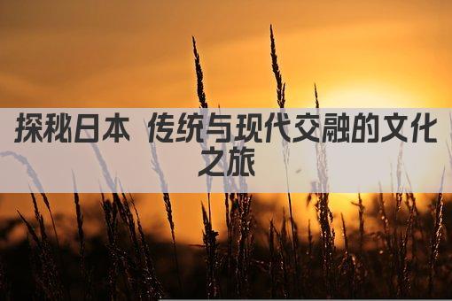 探秘日本 传统与现代交融的文化之旅