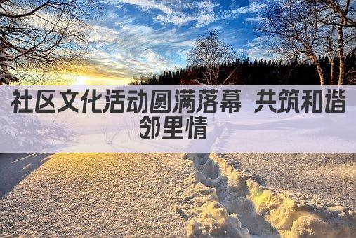 社区文化活动圆满落幕 共筑和谐邻里情 