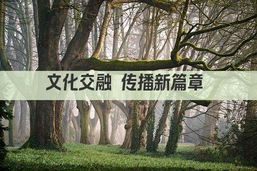 文化交融 传播新篇章 