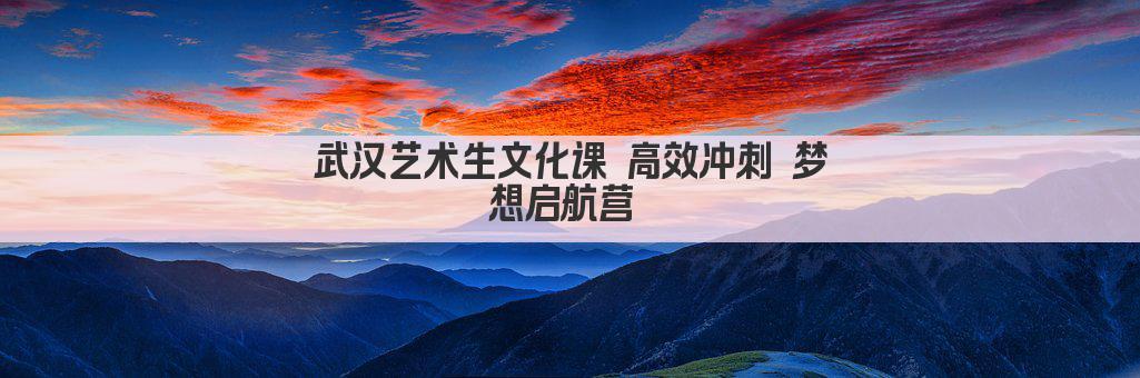 武汉艺术生文化课 高效冲刺 梦想启航营 