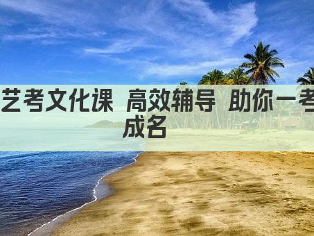 艺考文化课 高效辅导 助你一考成名  