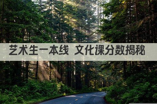 艺术生一本线 文化课分数揭秘 